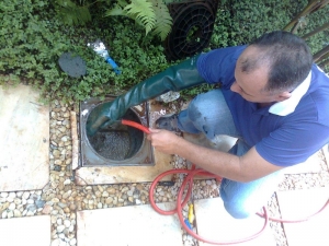 Limpeza Caixa Gordura